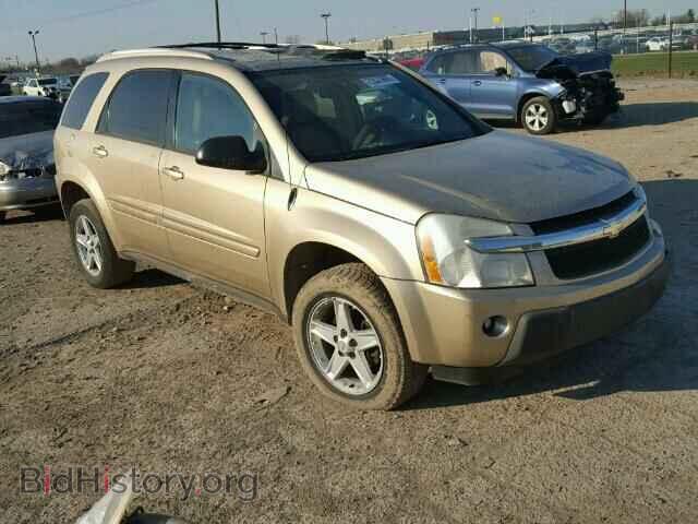 Photo 2CNDL73F756191492 - CHEVROLET EQUINOX 2005