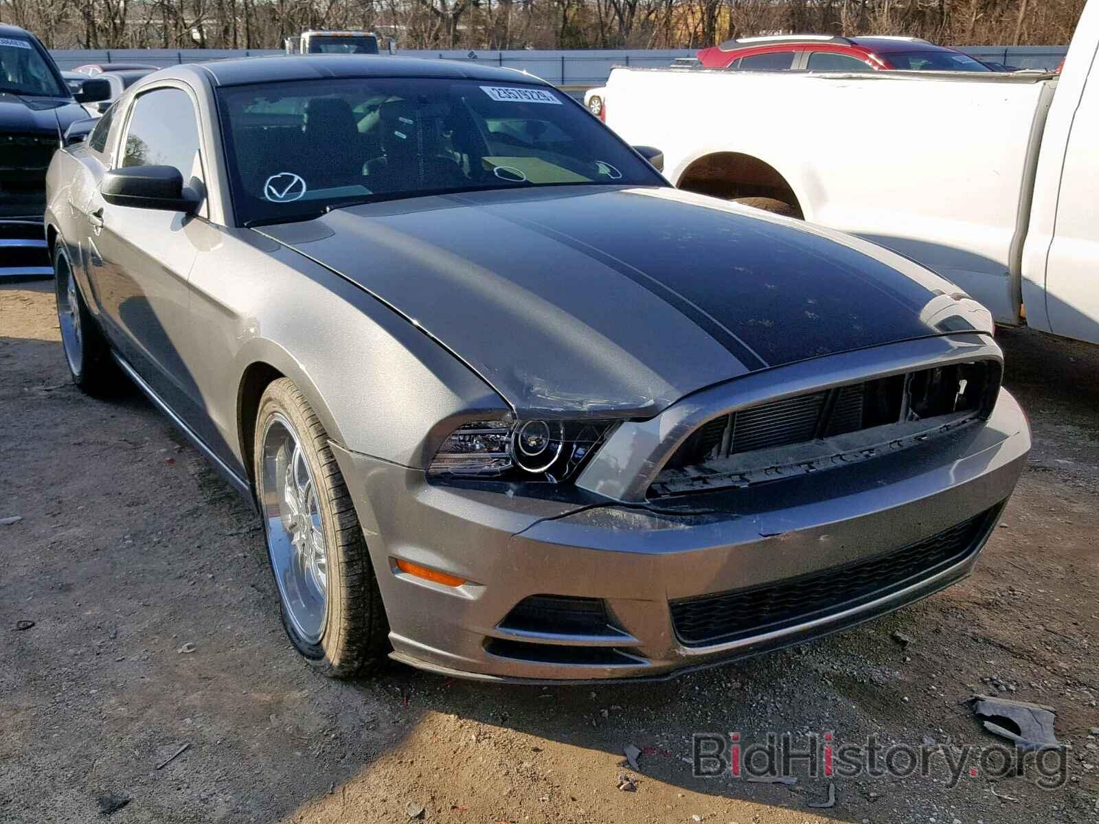 Photo 1ZVBP8AM9D5241677 - FORD MUSTANG 2013