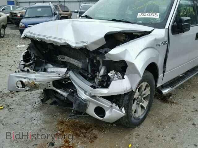 2013 FORD F150 - VIN: 1FTFX1EF1DFD14638 - Фото 10
