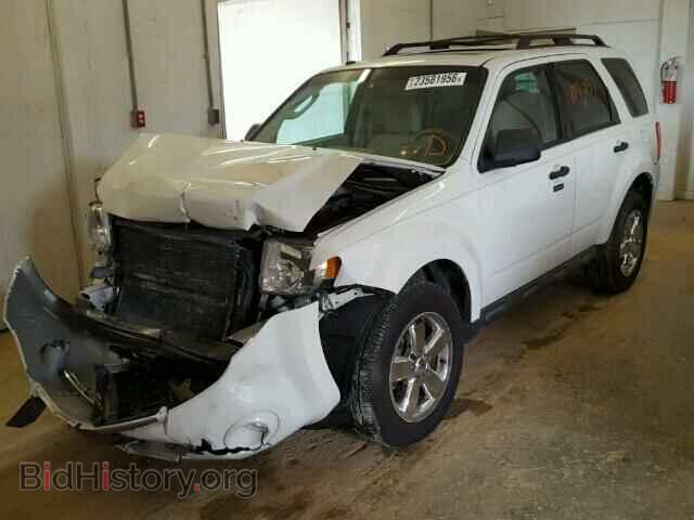 2009 FORD ESCAPE - VIN: 1FMCU93G59KA66314 - Фото 2