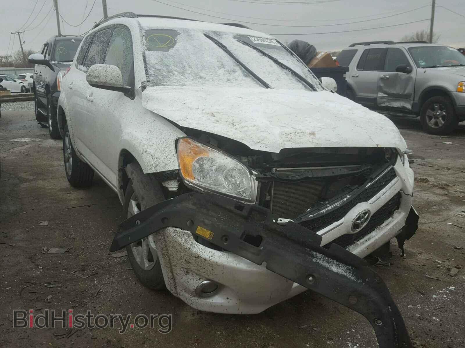 Фотография 2T3YF4DV0BW095947 - TOYOTA RAV4 2011