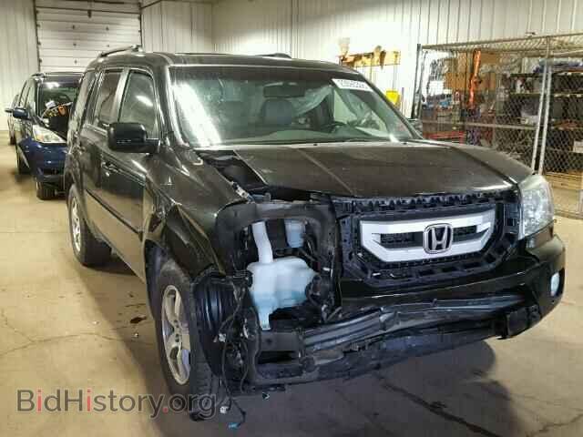 Фотография 5FNYF4H58BB022194 - HONDA PILOT 2011