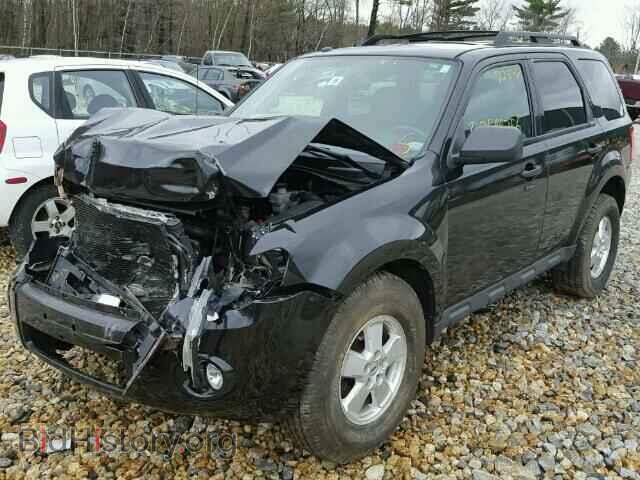 2011 FORD ESCAPE - VIN: 1FMCU9DG3BKA96206 - Фото 2