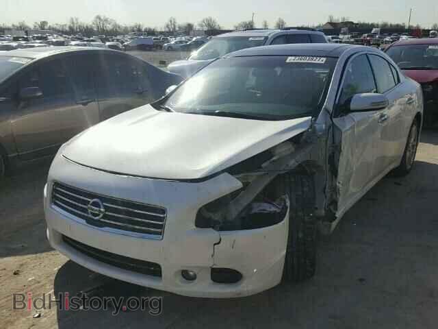 2009 NISSAN MAXIMA - VIN: 1N4AA51E89C854020 - Фото 2