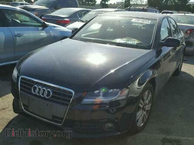 2010 AUDI A4 - VIN: WAUAFAFL1AN018776 - Фото 2