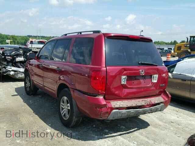 2005 HONDA PILOT - VIN: 5FNYF18515B022301 - Фото 3