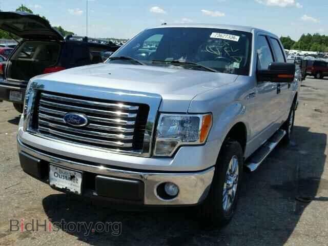 2011 FORD F150 - VIN: 1FTFW1CF2BFA69156 - Фото 2
