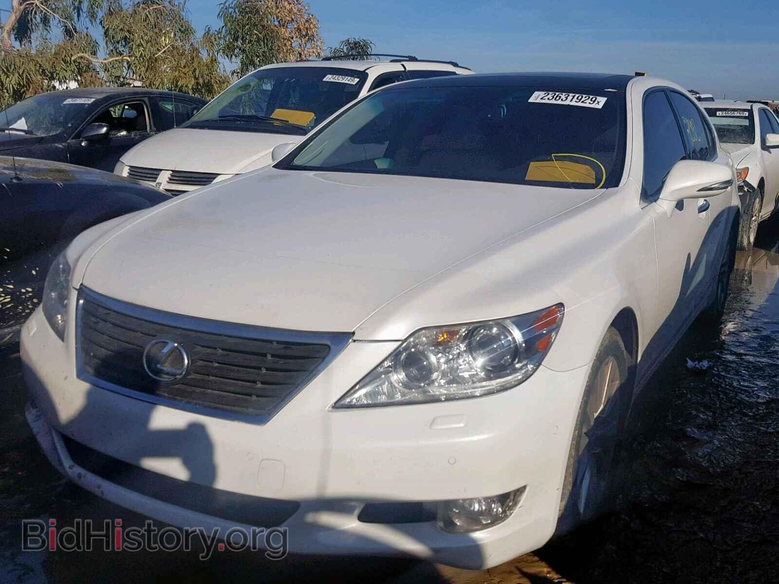 2010 LEXUS LS460 - VIN: JTHCL5EF1A5008027 - Фото 2