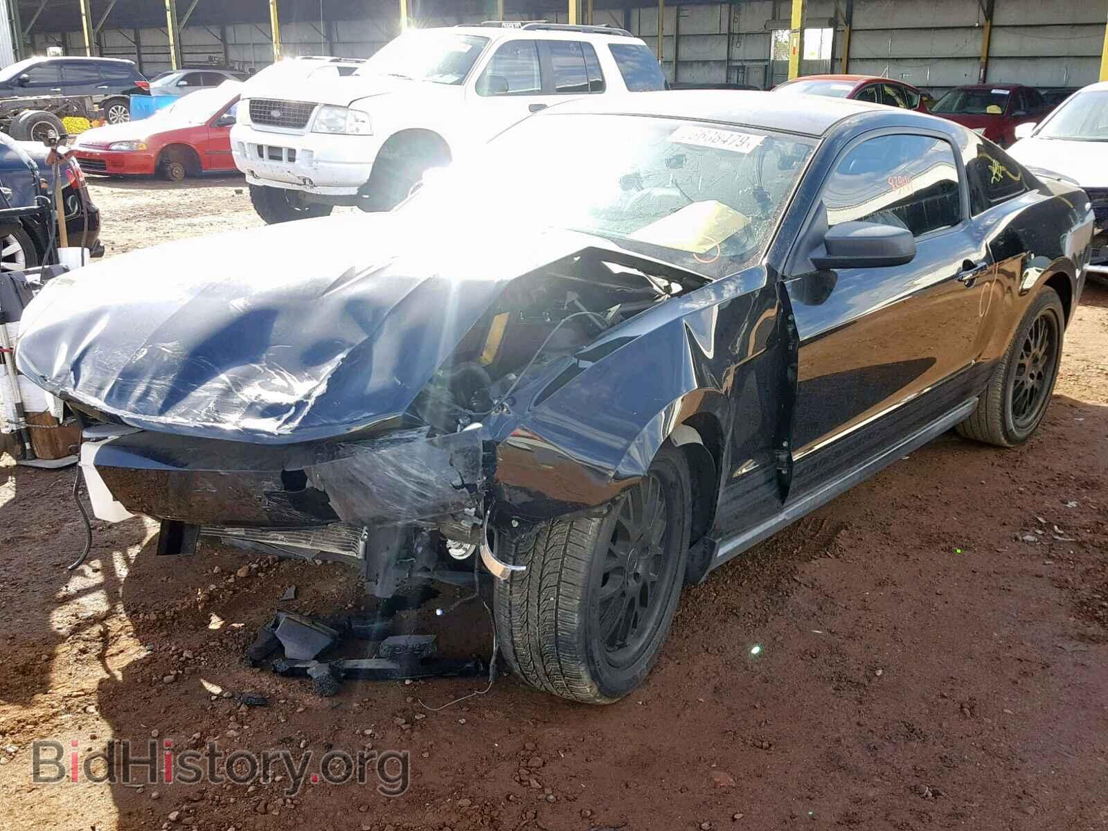 2011 FORD MUSTANG - VIN: 1ZVBP8AM4B5131777 - Фото 2