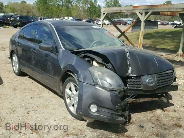 Photo 1N4BA41E75C813631 - NISSAN MAXIMA 2005