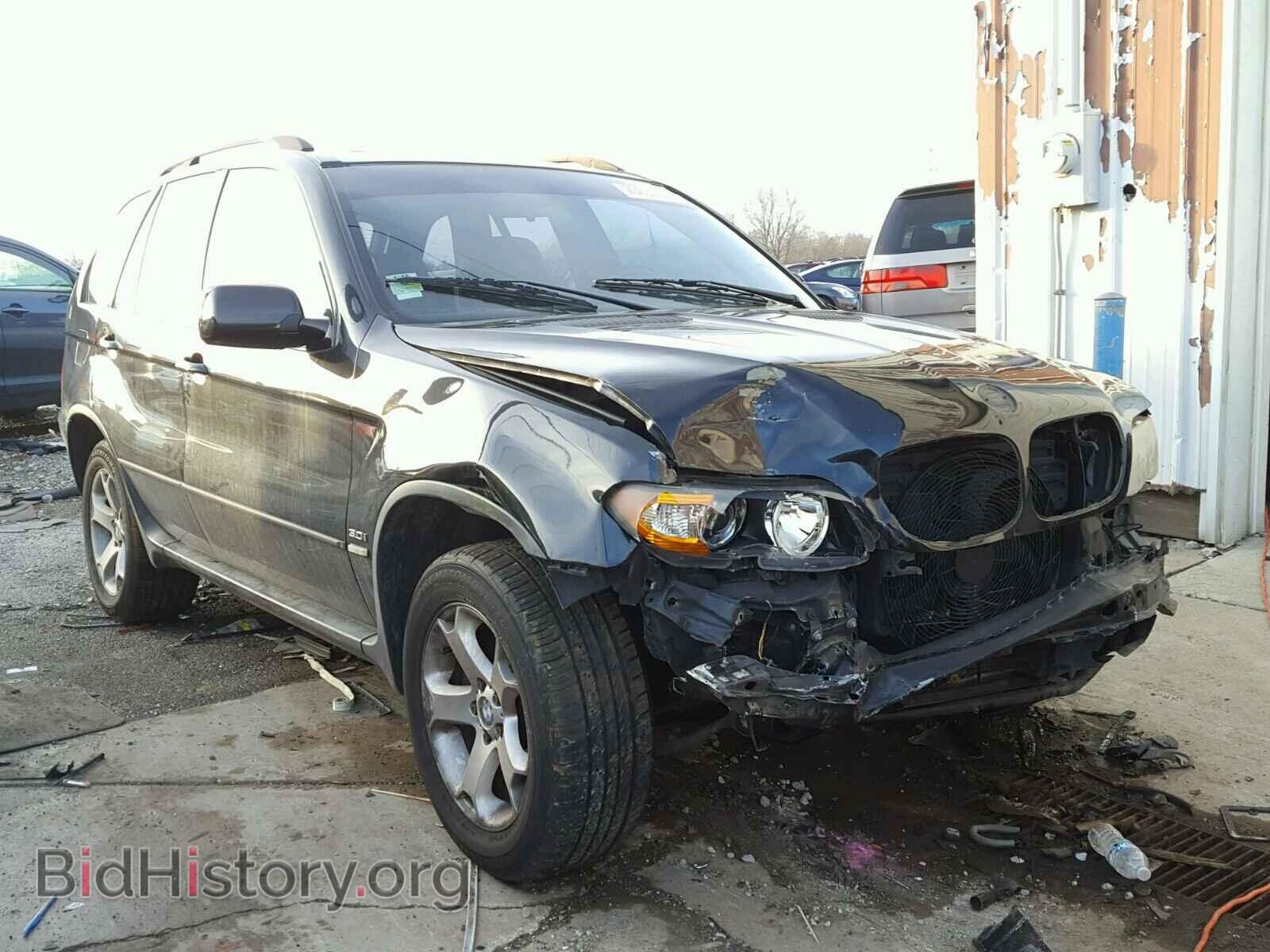 Photo 5UXFA13595LY09702 - BMW X5 2005