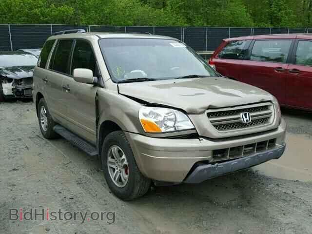 Photo 5FNYF18525B044842 - HONDA PILOT 2005