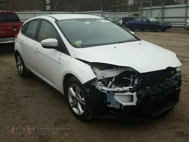 Photo 1FADP3K28DL186023 - FORD FOCUS 2013