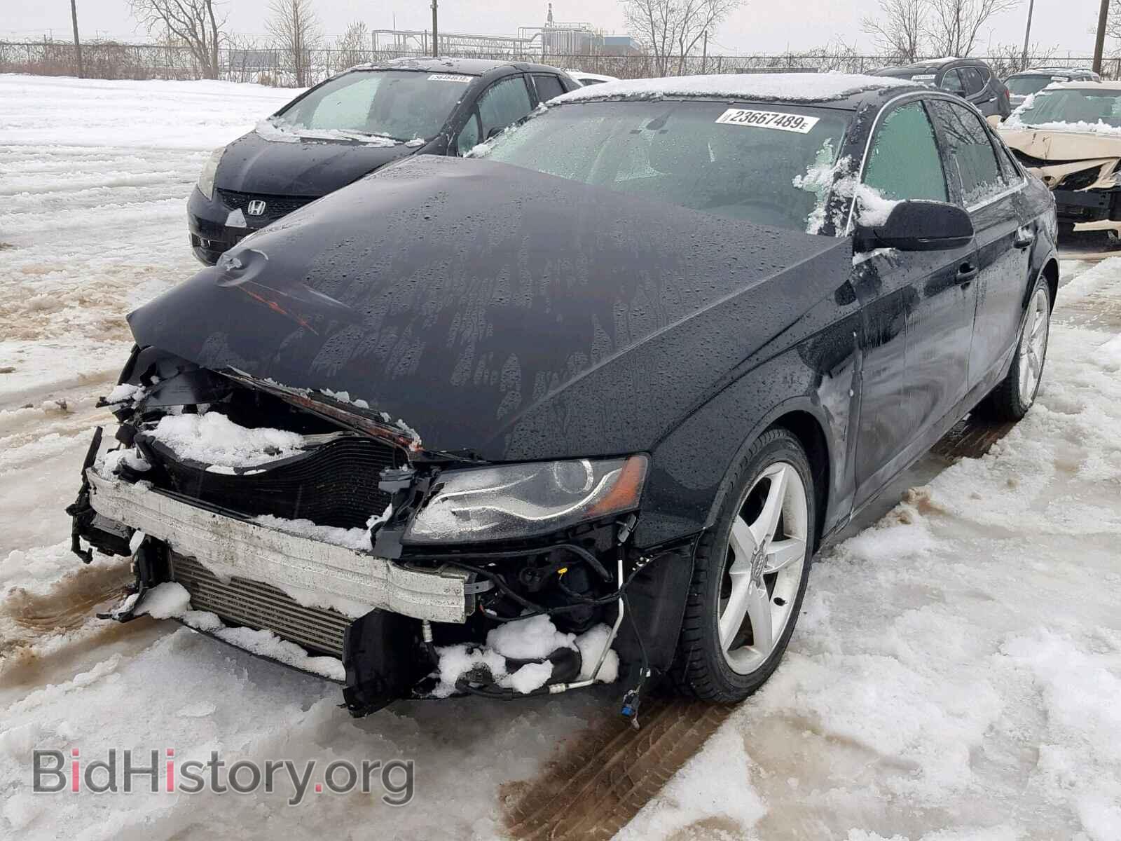 2010 AUDI A4 - VIN: WAUFFCFL6AN002316 - Фото 2