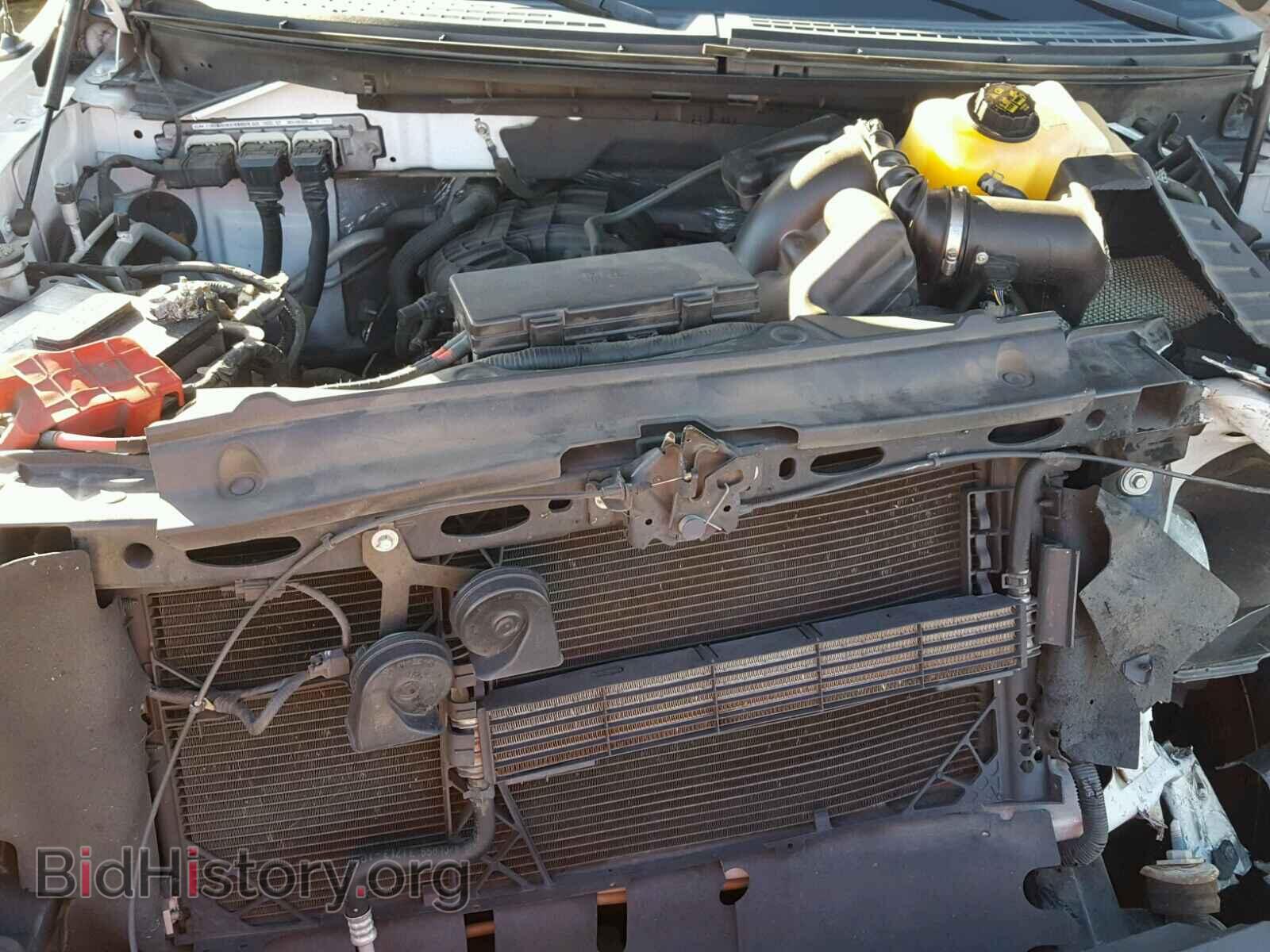 2013 FORD F150 - VIN: 1FTMF1CM8DFD22439 - Фото 7