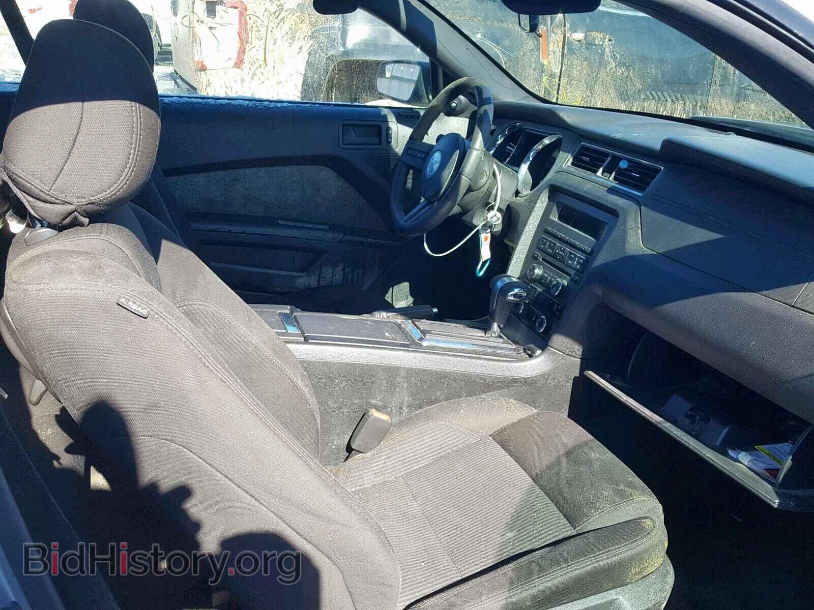 2012 FORD MUSTANG - VIN: 1ZVBP8EMXC5241065 - Фото 5