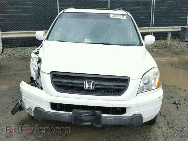 2005 HONDA PILOT - VIN: 5FNYF18655B047386 - Фото 10