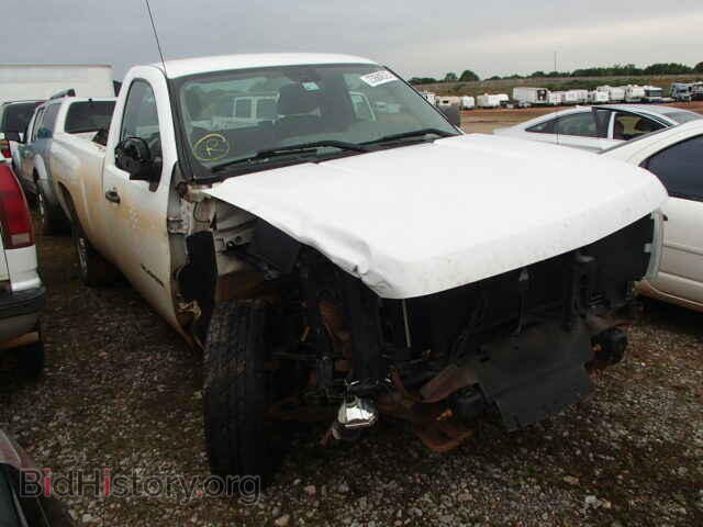Photo 1GCPCPEX3AZ208164 - CHEVROLET SILVERADO 2010