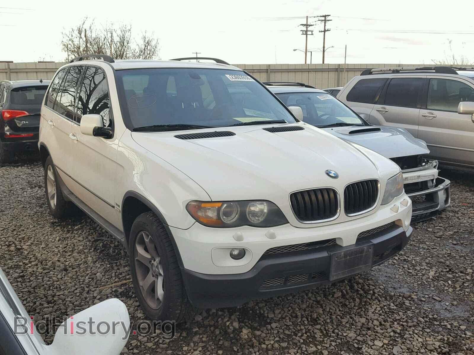 Photo 5UXFA13565LY15375 - BMW X5 2005