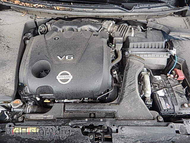 2009 NISSAN MAXIMA - VIN: 1N4AA51E79C819565 - Фото 7