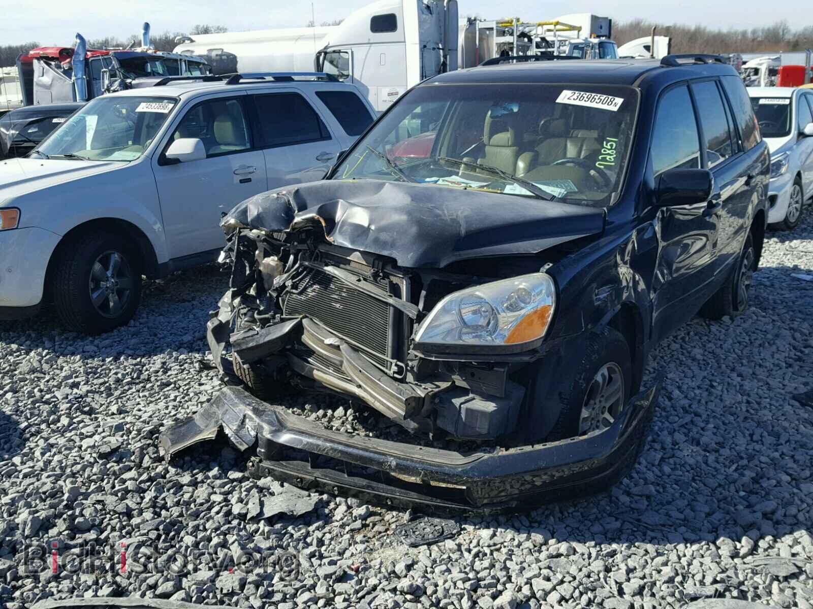 2005 HONDA PILOT - VIN: 5FNYF18575B016082 - Фото 2