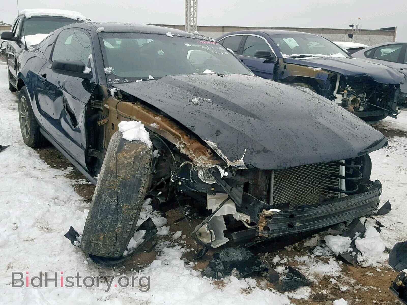 Фотография 1ZVBP8AM2C5200208 - FORD MUSTANG 2012