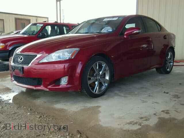 2010 LEXUS IS250 - VIN: JTHBF5C2XA5127228 - Фото 2