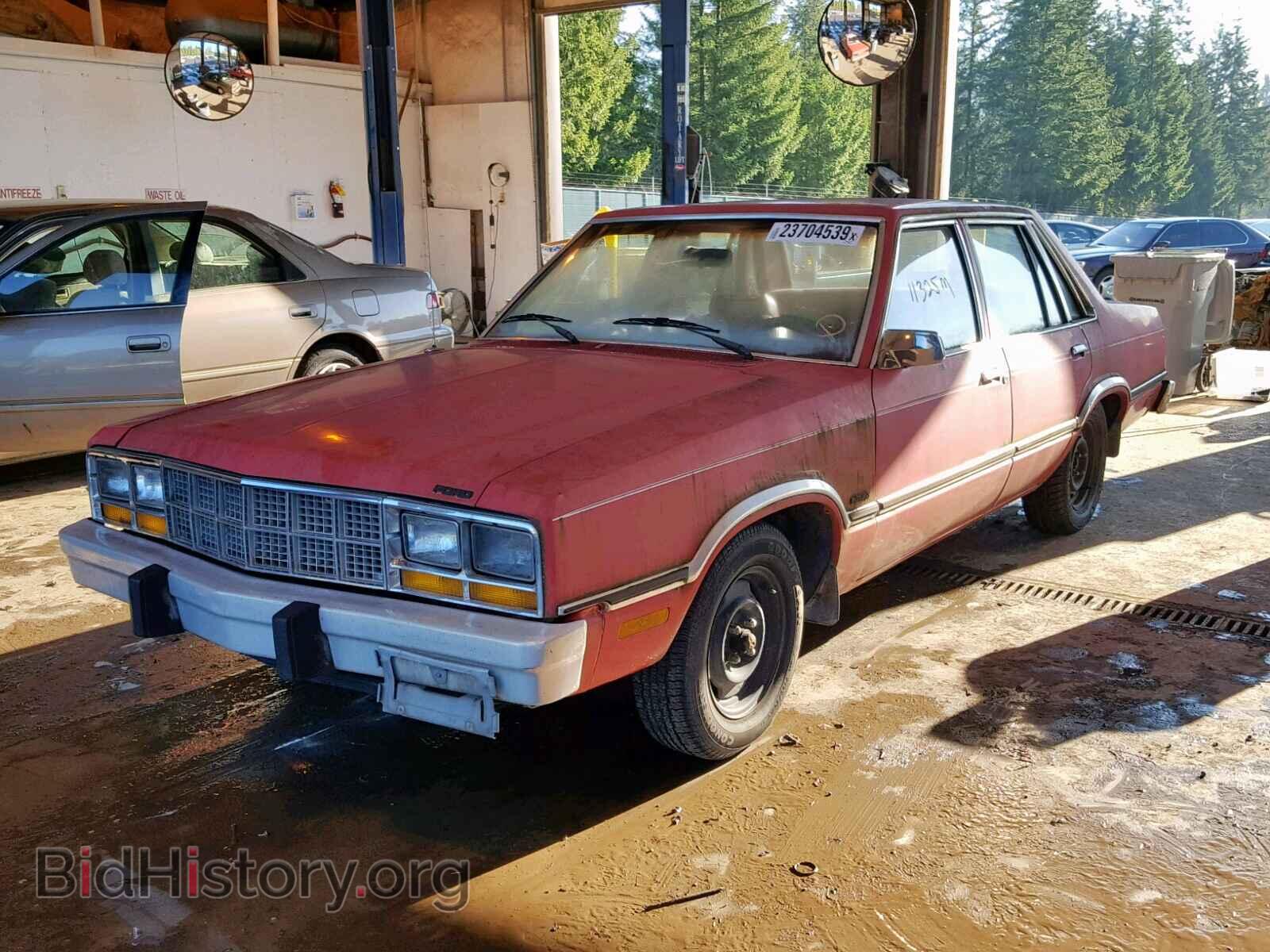 1981 FORD F-SER OTHR - VIN: 1FABP21B0BK158240 - Photo 2