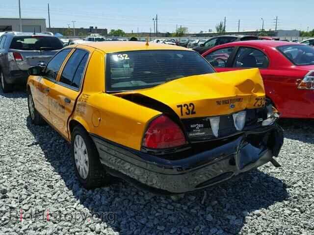 2011 FORD CROWN VIC - VIN: 2FABP7BV1BX105890 - Фото 3