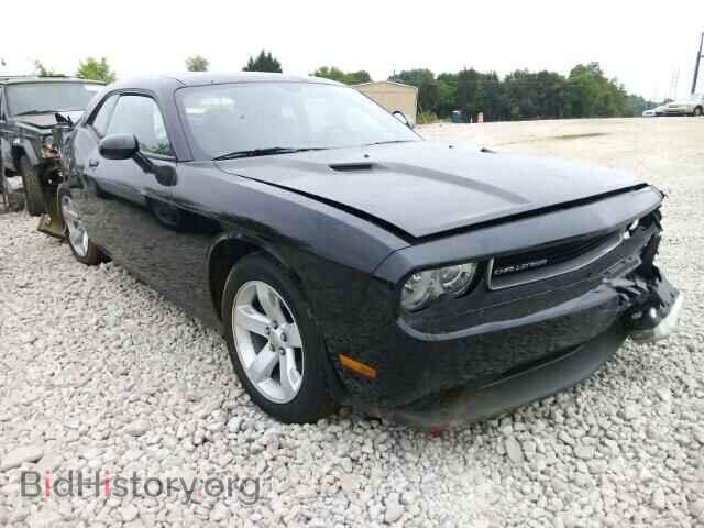 Фотография 2C3CDYAG6DH670170 - DODGE CHALLENGER 2013