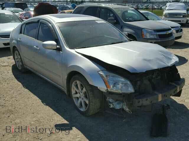 Photo 1N4BA41E58C839505 - NISSAN MAXIMA 2008