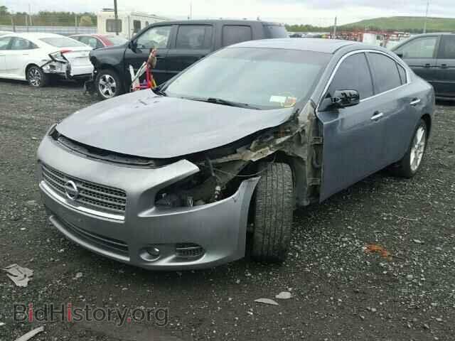 2009 NISSAN MAXIMA - VIN: 1N4AA51E29C806609 - Фото 2