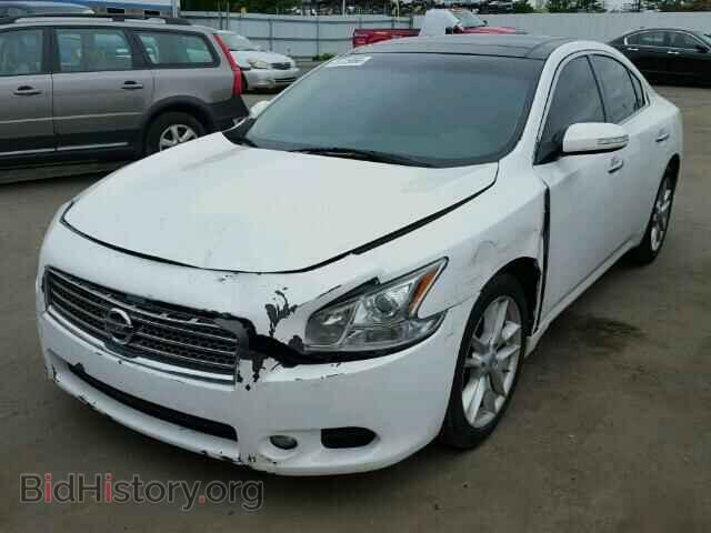 2009 NISSAN MAXIMA - VIN: 1N4AA51EX9C859803 - Фото 2