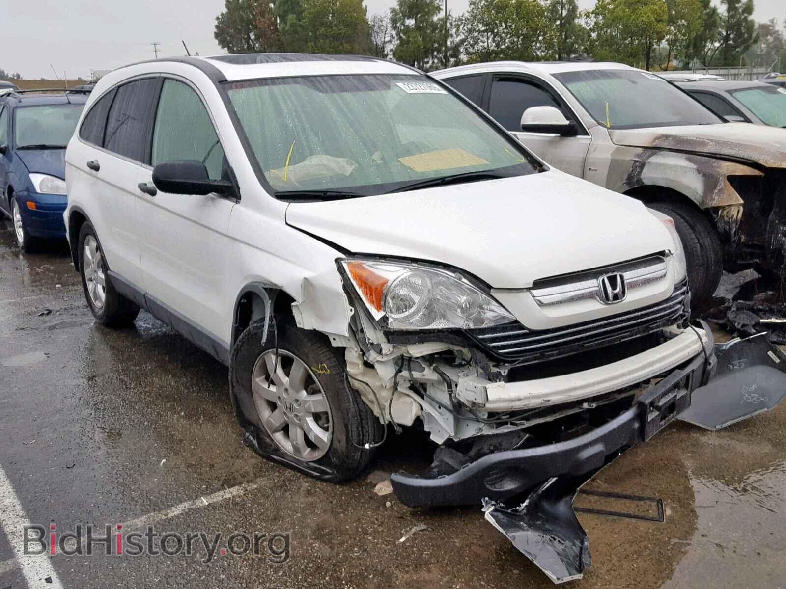 Фотография JHLRE38558C033986 - HONDA CR-V EX 2008