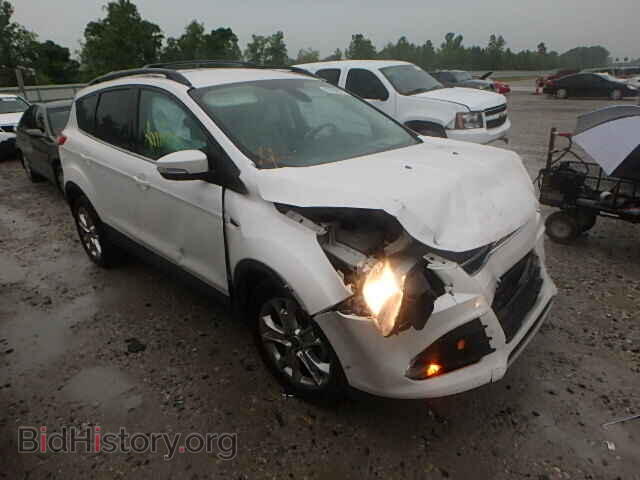 2013 Ford ESCAPE Escape SEL (VIN 1FMCU0HX3DUD85566) — фото 1 из 10, Copart, повреждение: передняя часть