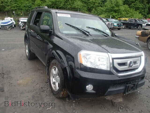 Фотография 5FNYF4H60BB096346 - HONDA PILOT 2011