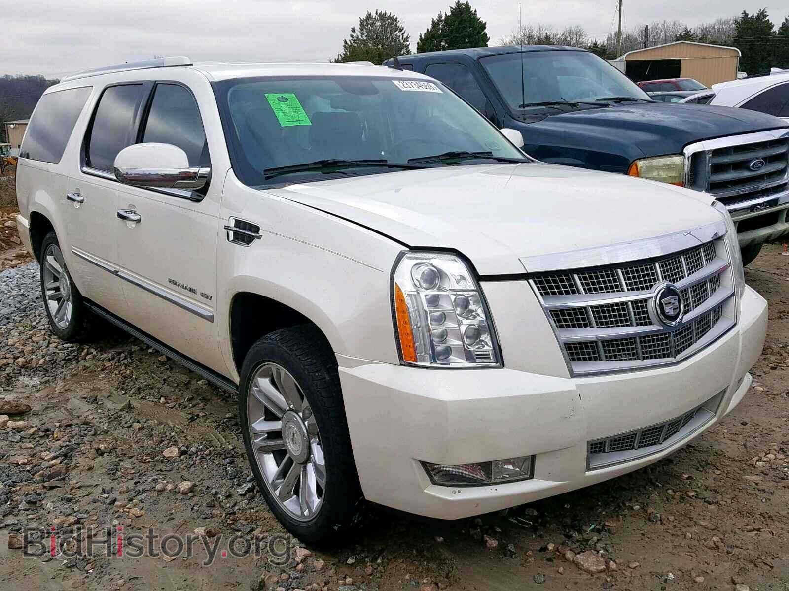 Photo 1GYS4KEF1BR162640 - CADILLAC ESCALADE E 2011