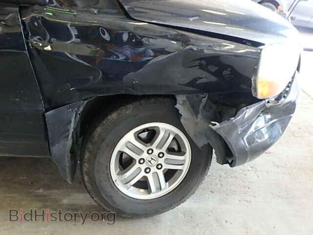 2005 HONDA PILOT - VIN: 5FNYF18545B064476 - Фото 10