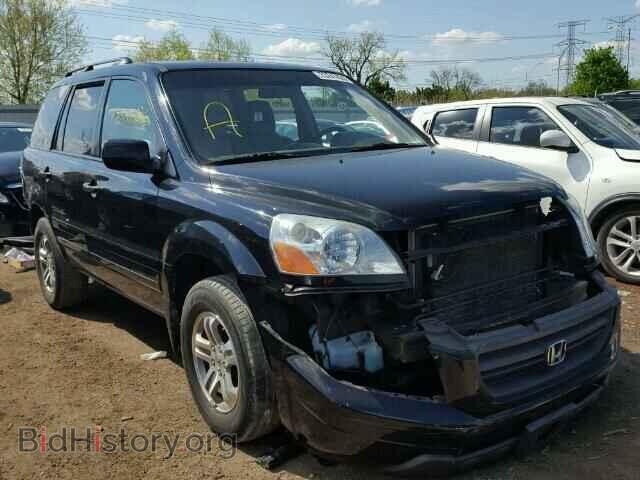 Фотография 5FNYF18555B013598 - HONDA PILOT 2005