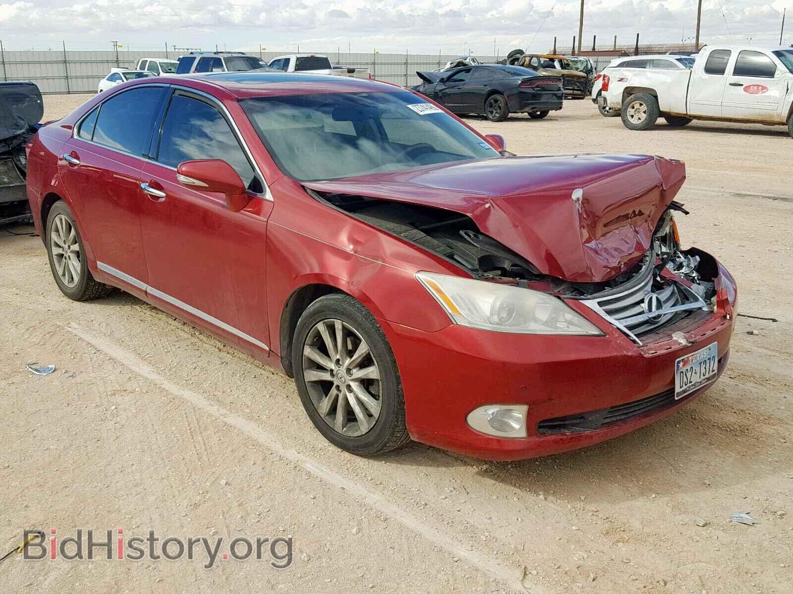 Photo JTHBK1EG5A2385686 - LEXUS ES350 2010