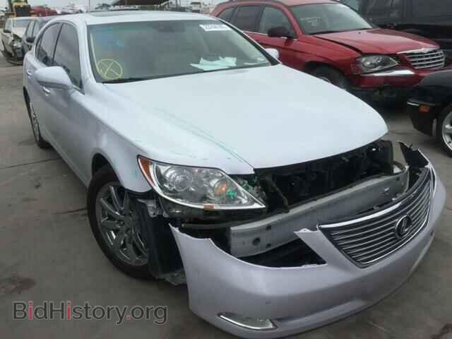 Фотография JTHBL46F185052740 - LEXUS LS460 2008