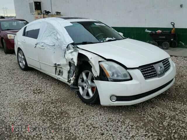 Photo 1N4BA41E05C859401 - NISSAN MAXIMA 2005