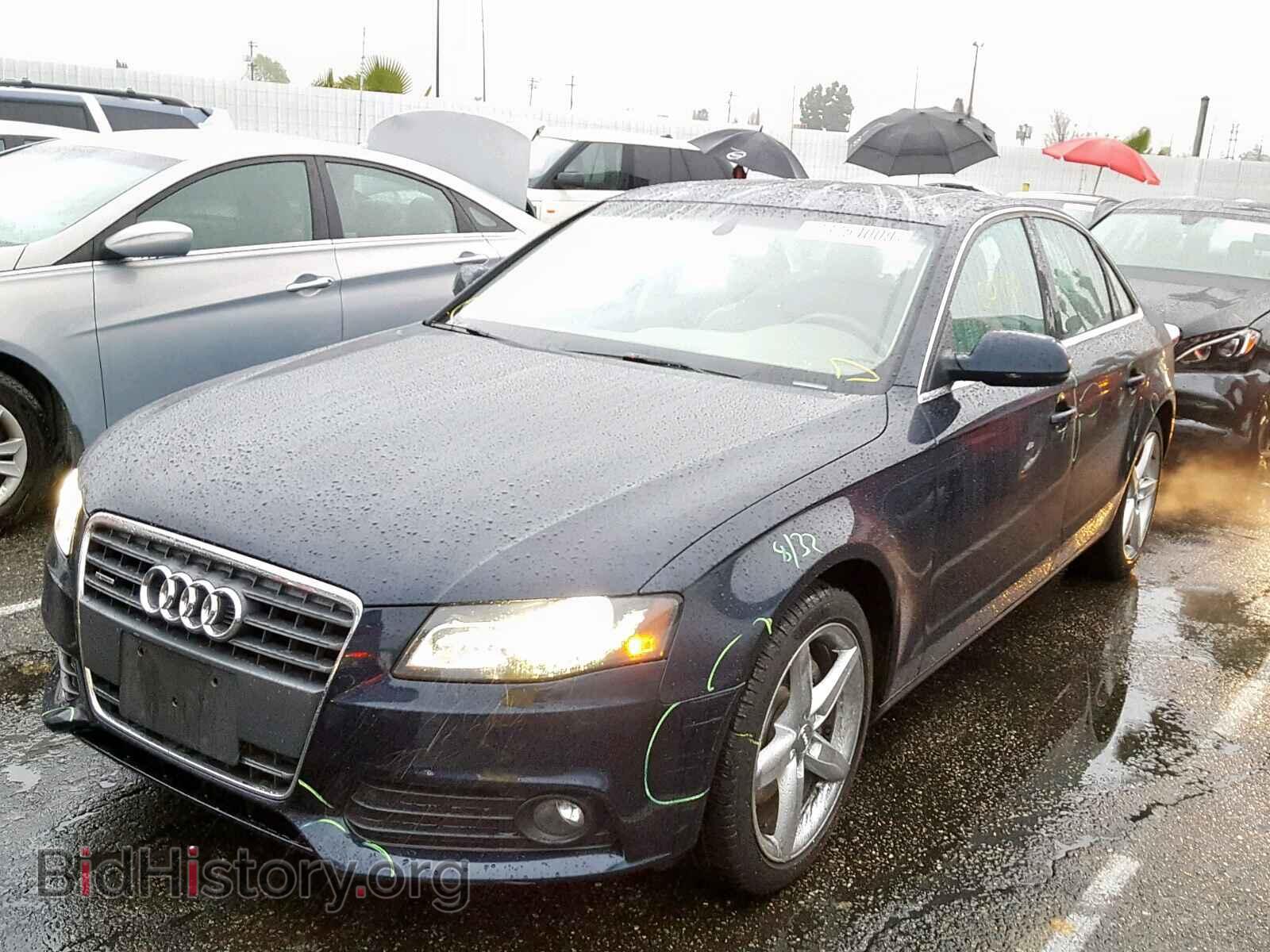 2011 AUDI A4 - VIN: WAUFFAFL7BA103667 - Фото 2