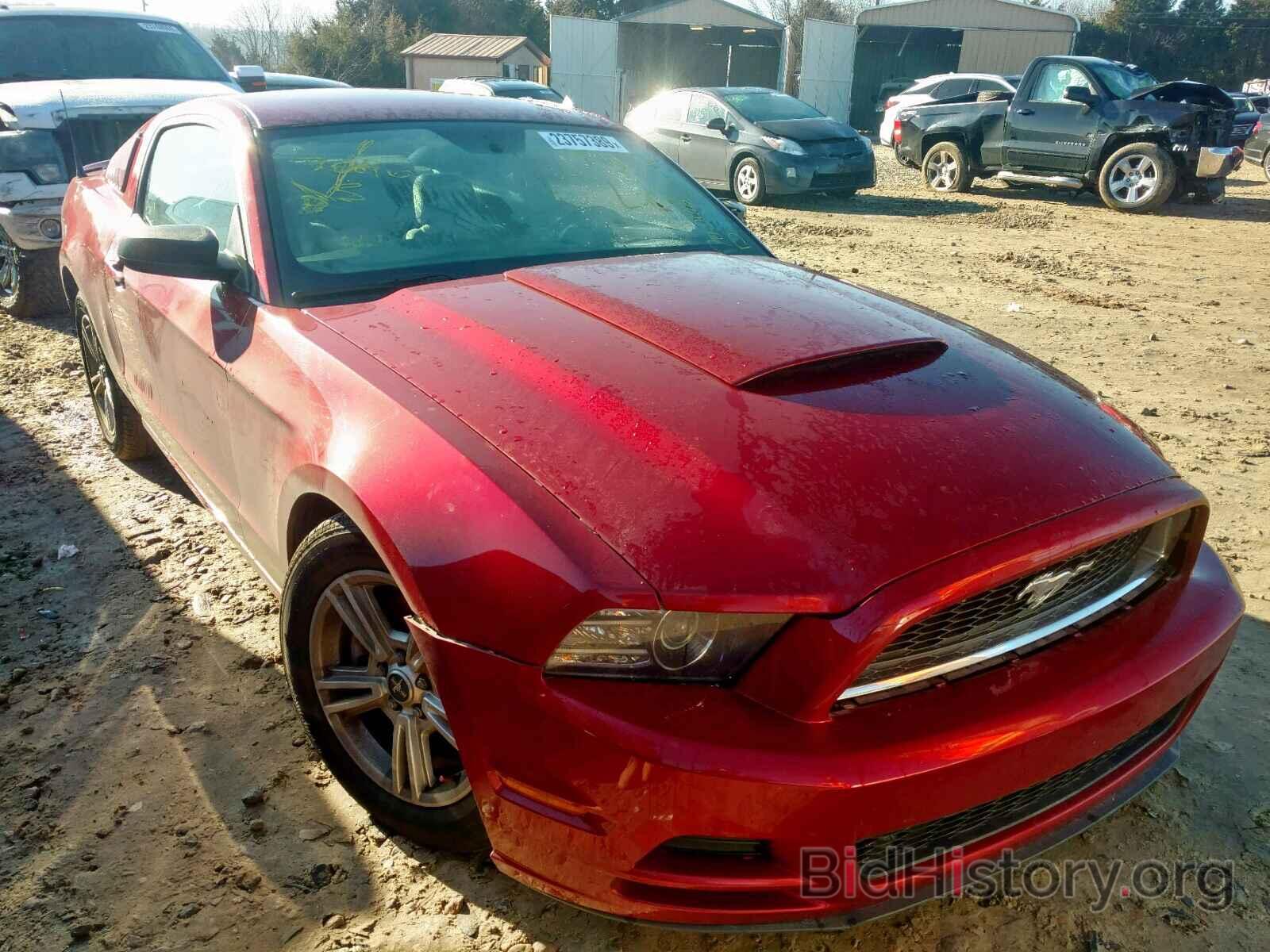 Photo 1ZVBP8AM8E5241901 - FORD MUSTANG 2014