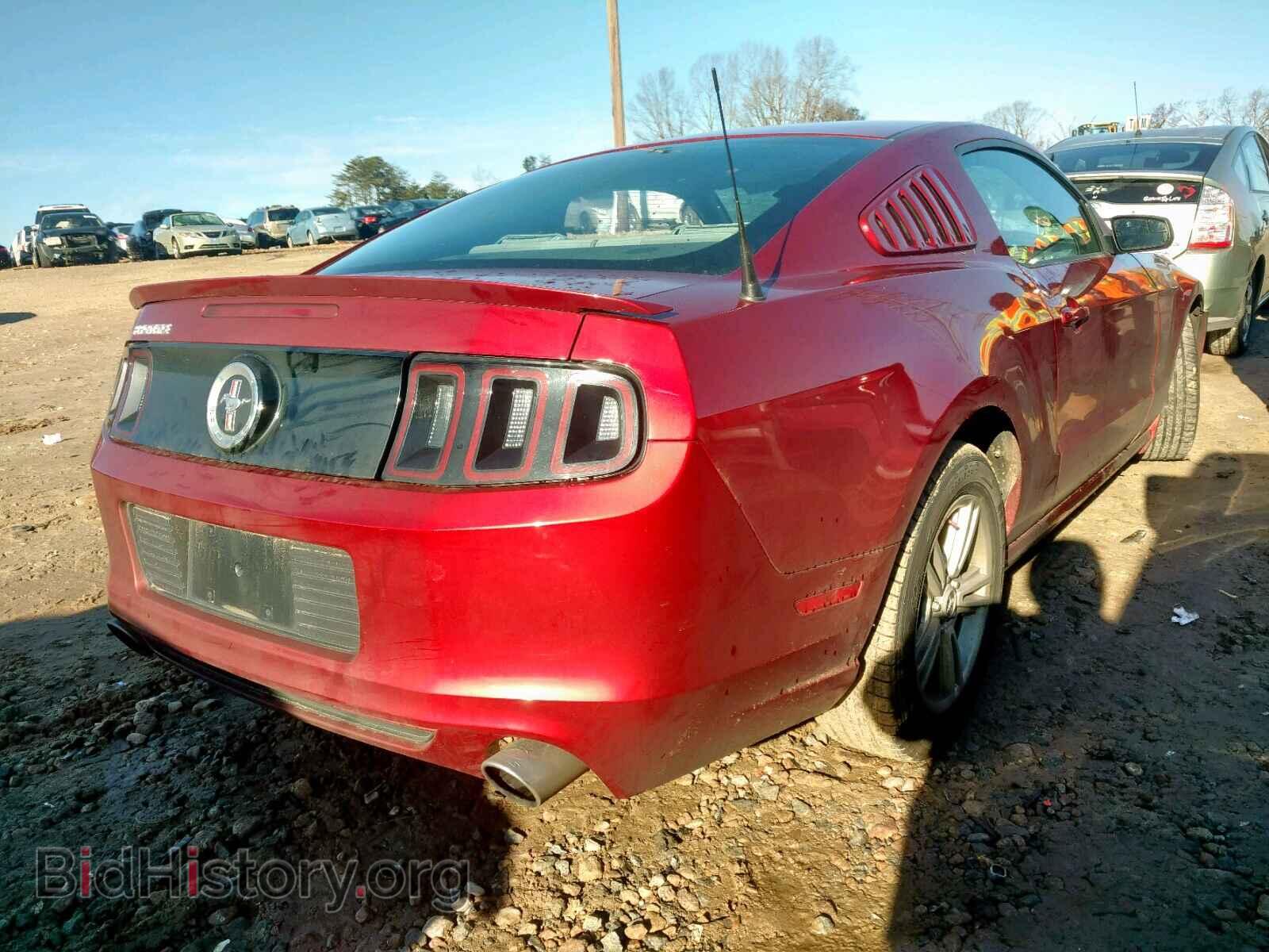 2014 FORD MUSTANG - VIN: 1ZVBP8AM8E5241901 - Фото 4