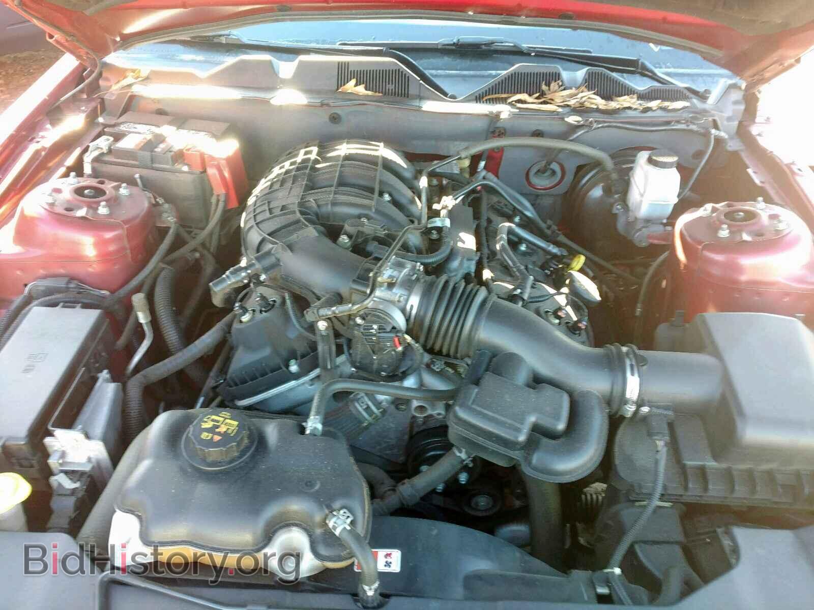 2014 FORD MUSTANG - VIN: 1ZVBP8AM8E5241901 - Фото 7