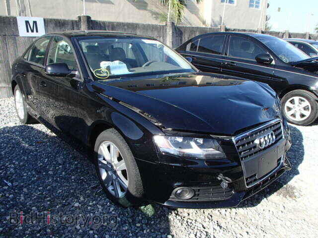 Фотография WAUBFAFL0AN067942 - AUDI A4 2010