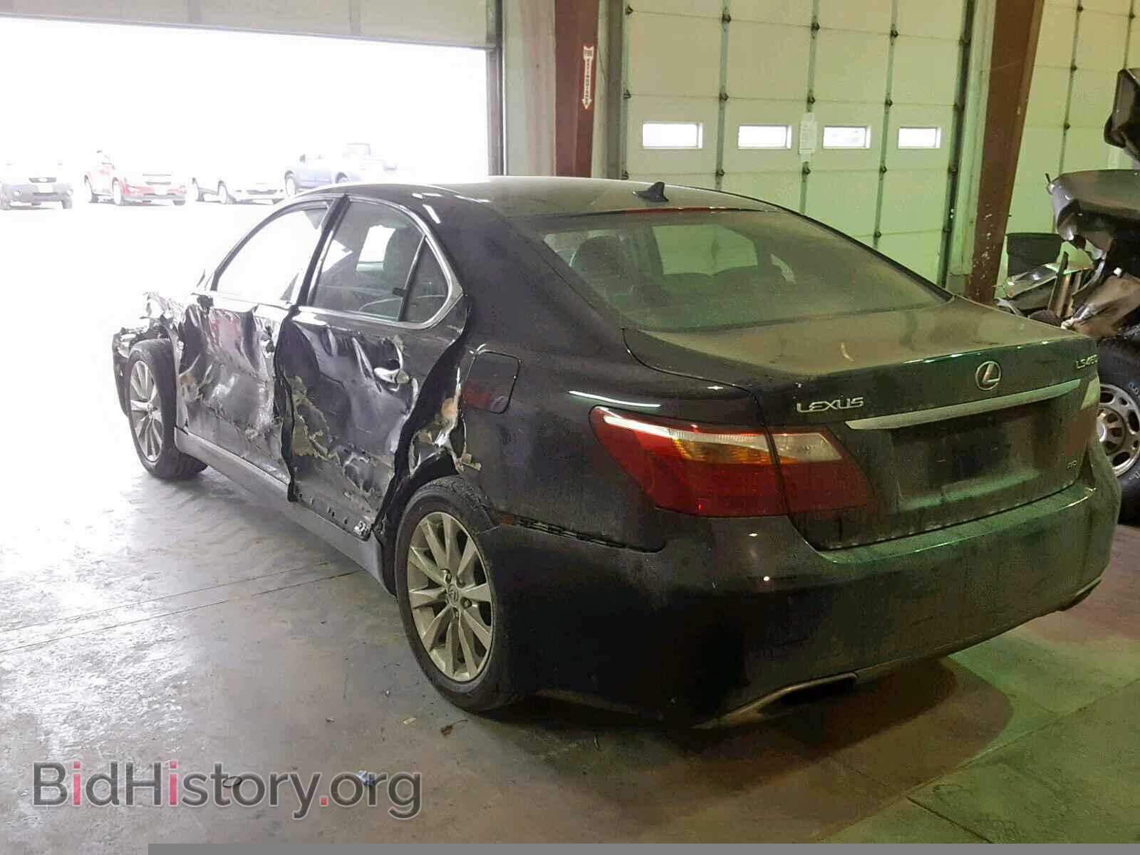2010 LEXUS LS460 - VIN: JTHCL1EF9A5006843 - Фото 3