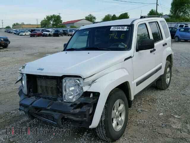 2011 JEEP LIBERTY - VIN: 1J4PP2GK2BW536410 - Фото 2