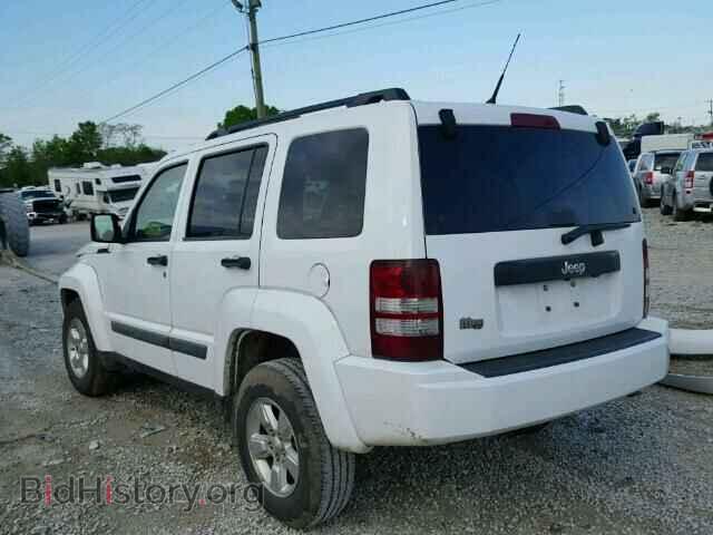 2011 JEEP LIBERTY - VIN: 1J4PP2GK2BW536410 - Фото 3